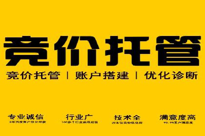 竞价排名在旅游行业的应用案例